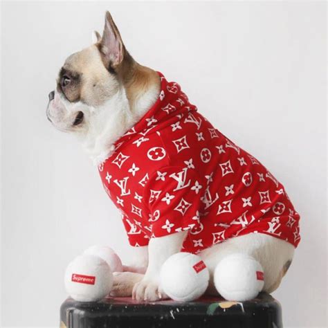 dog with lv supreme hoodie|louis vuitton dog accessories.